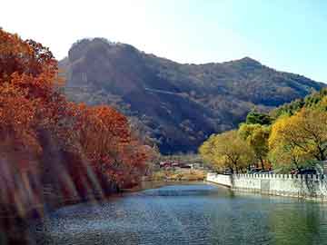 新澳天天开奖资料大全旅游团，求购芯片